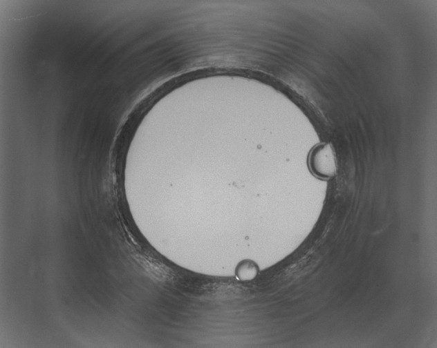 X0000073451070200608181233