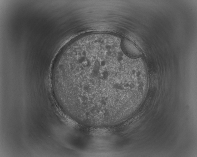 X0000073451071200608181233