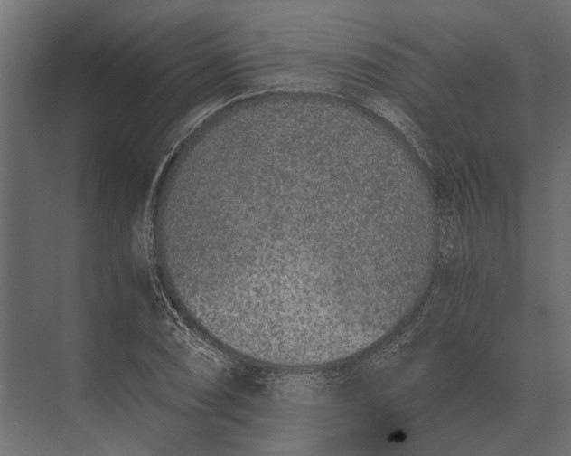 X0000073451074200608181233