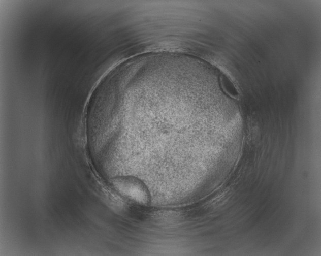 X0000073451075200608181233