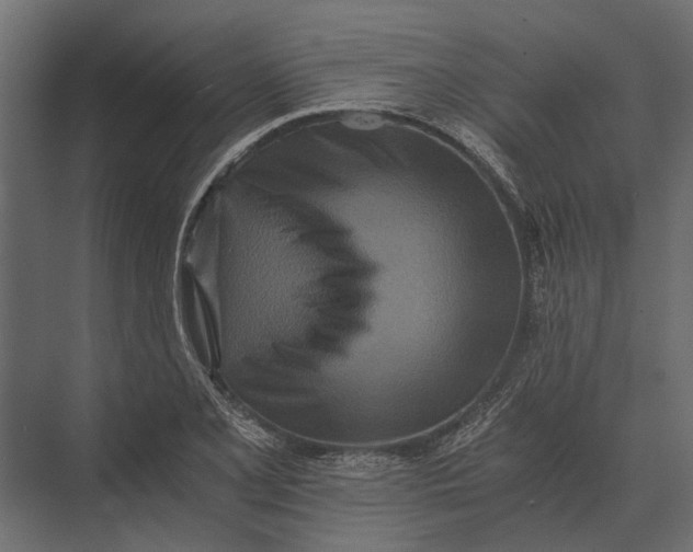 X0000073451077200608181232