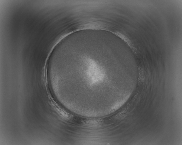 X0000073451078200608181232