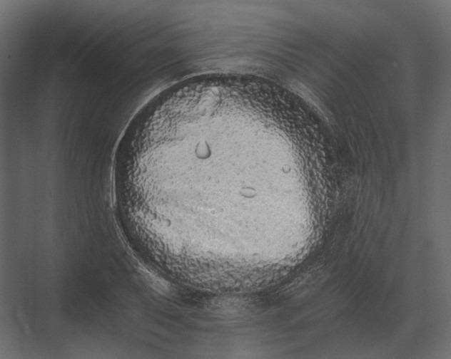 X0000073451079200608181232