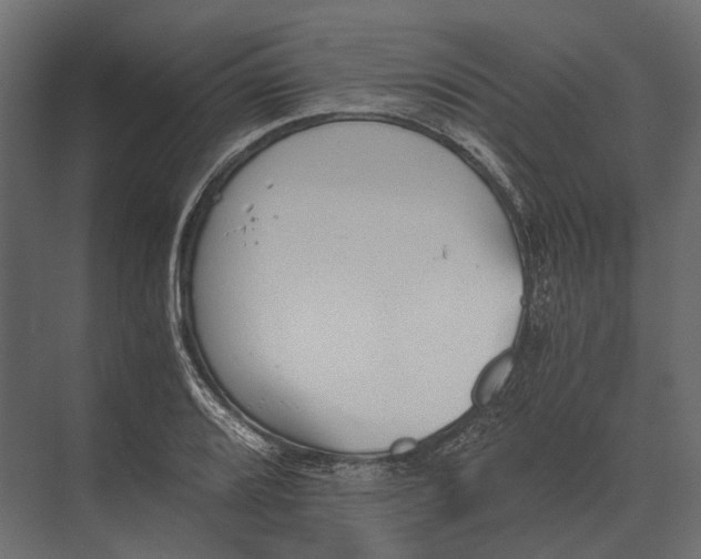 X0000073451080200608181232