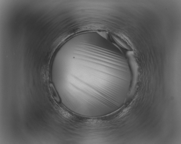 X0000073451081200608181232