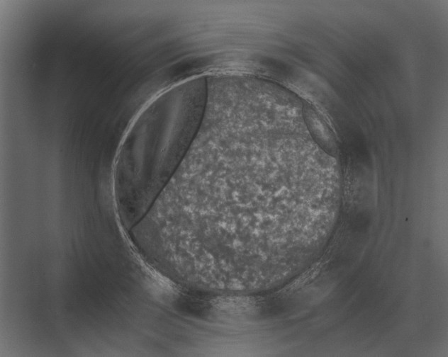 X0000073451083200608181232