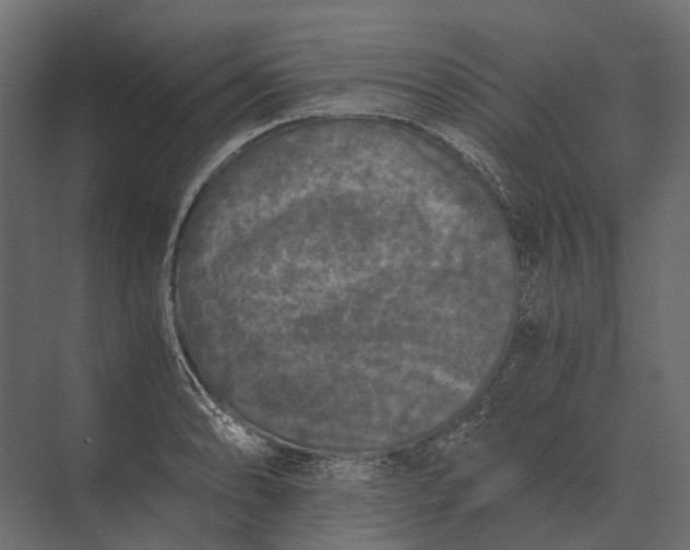 X0000073451086200608181232