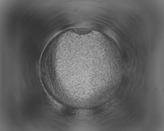 X0000073451087200608181232