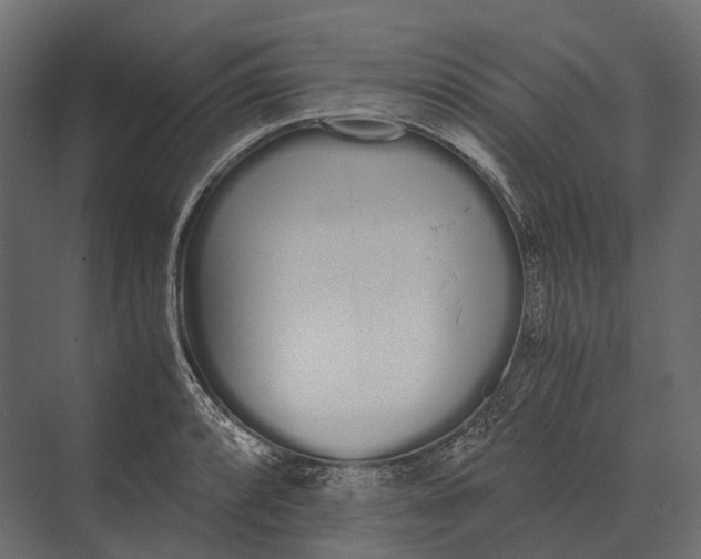 X0000073451088200608181232