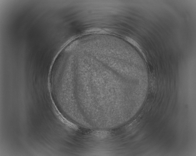 X0000073451090200608181232