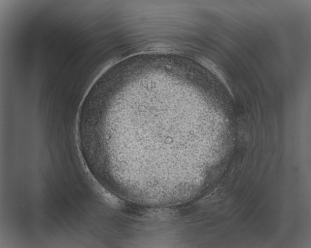 X0000073451091200608181232