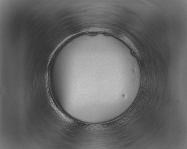 X0000073451092200608181232