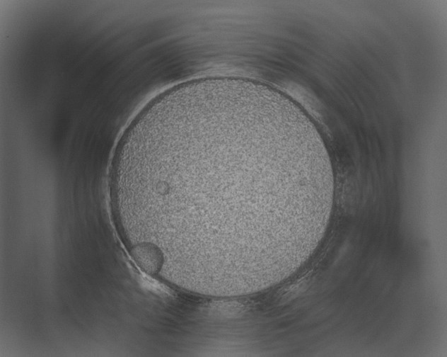 X0000073451094200608181232