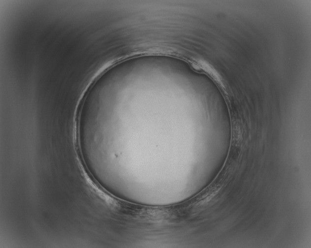 X0000073451095200608181232