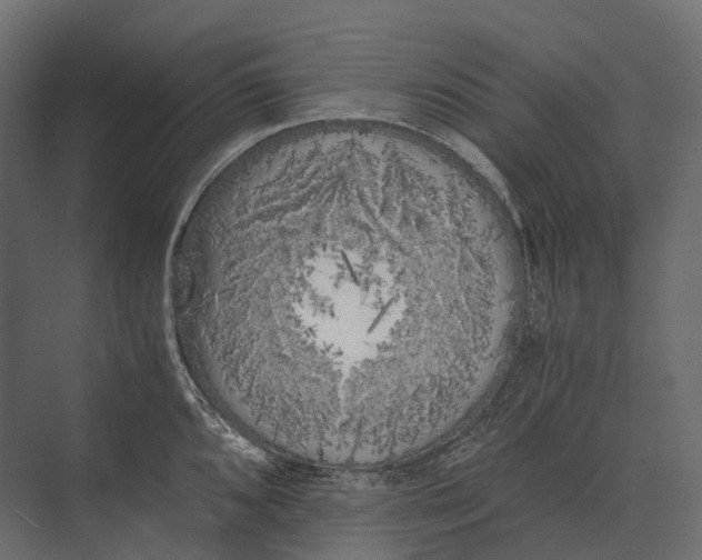 X0000073451096200608181232