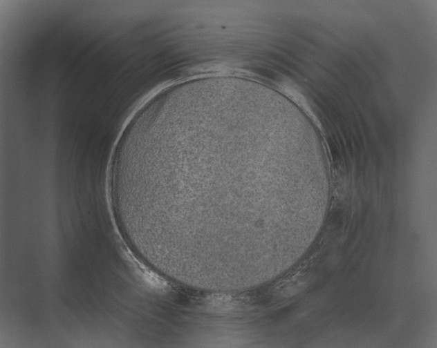 X0000073451098200608181232