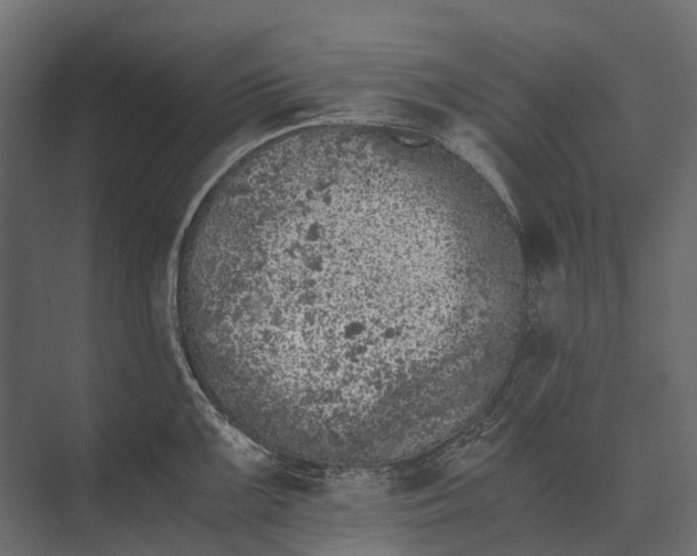 X0000073451099200608181232