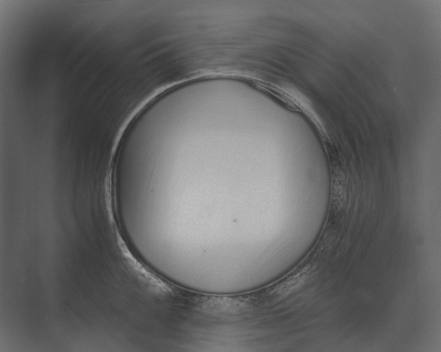 X0000073451100200608181232