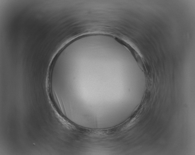 X0000073451101200608181232