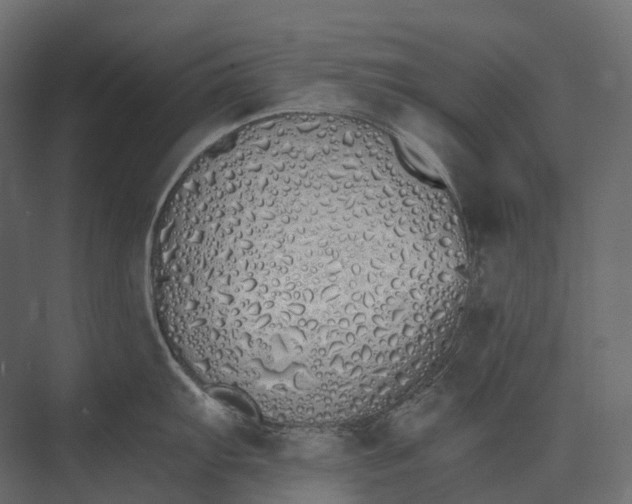 X0000073451103200608181232