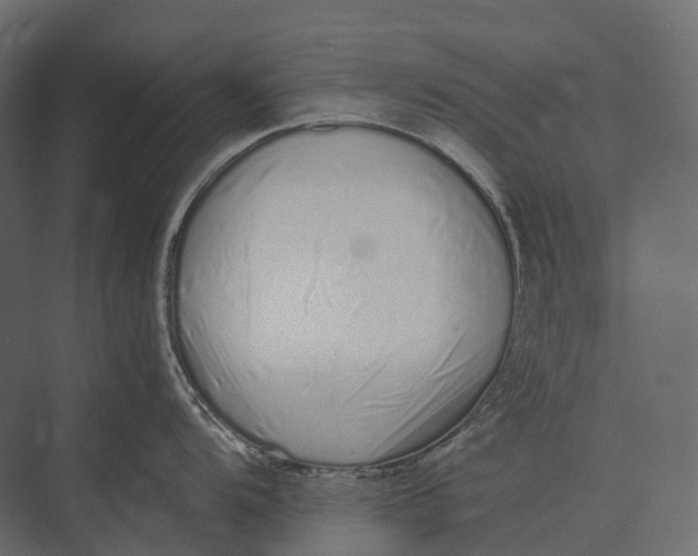 X0000073451104200608181232