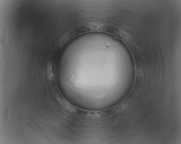 X0000073451106200608181231