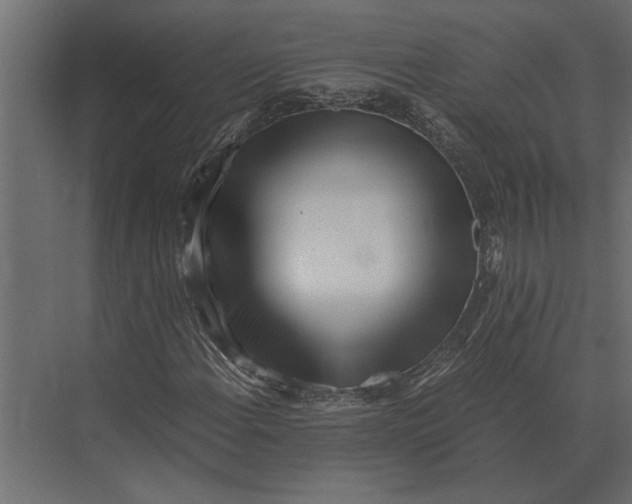 X0000073451108200608181231