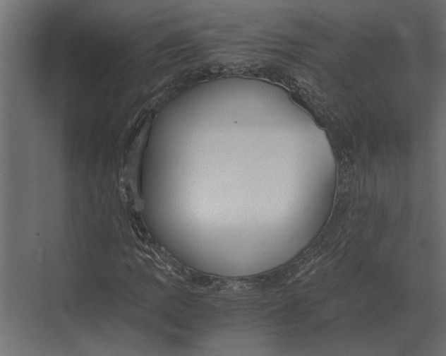 X0000073451109200608181231