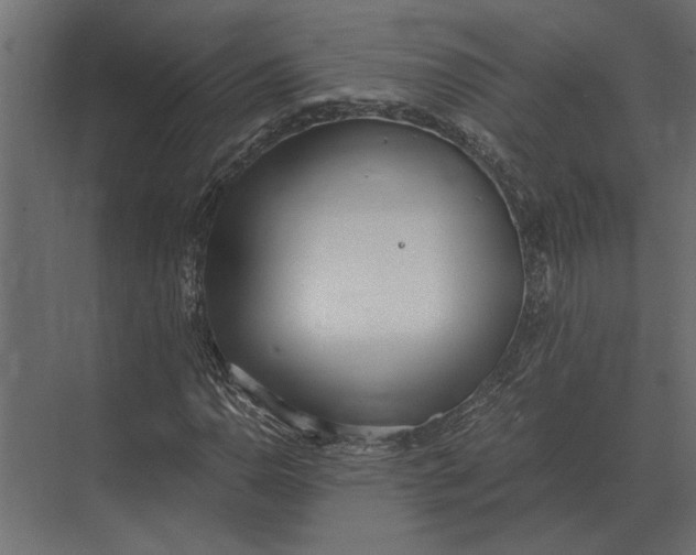 X0000073451110200608181231