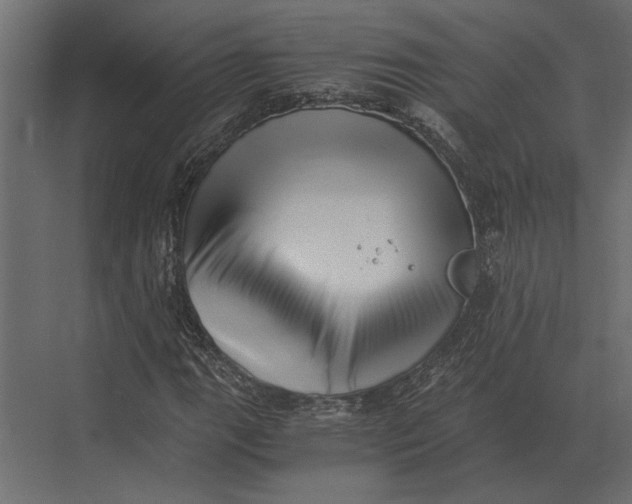 X0000073451111200608181231