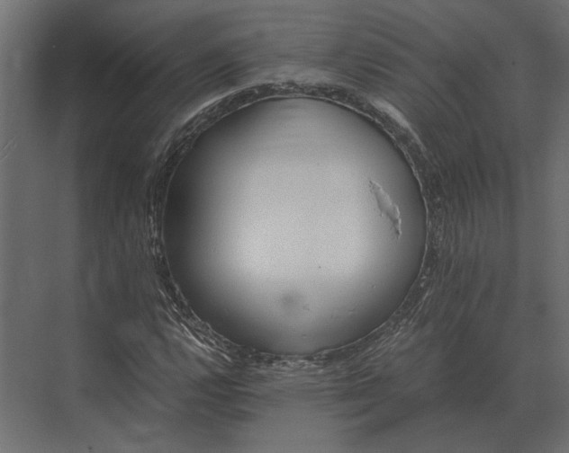 X0000073451112200608181231