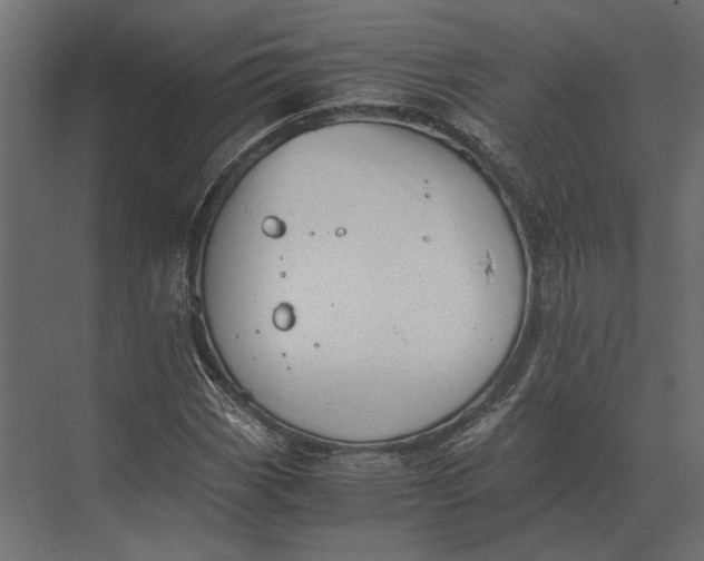 X0000073451113200608181231