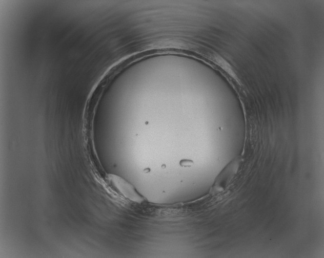 X0000073451116200608181231