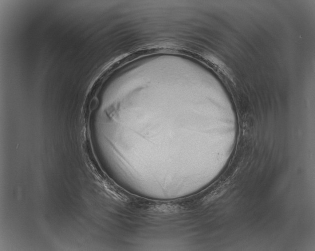 X0000073451117200608181231