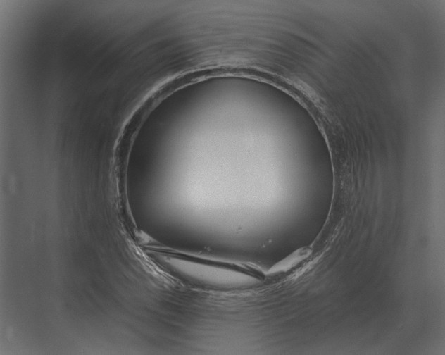 X0000073451118200608181231