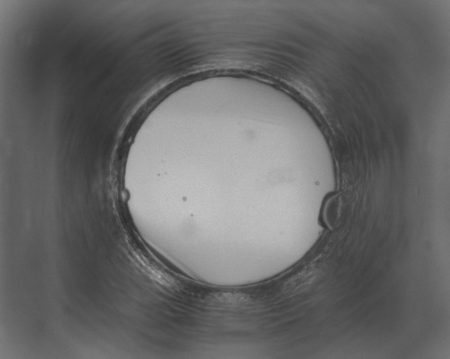 X0000073451119200608181231