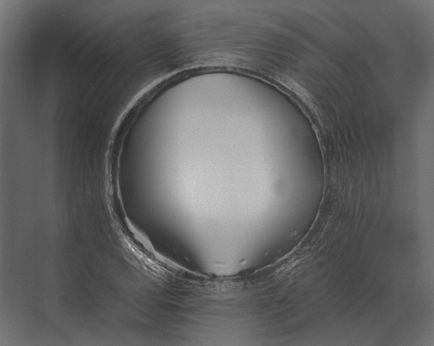 X0000073451120200608181231