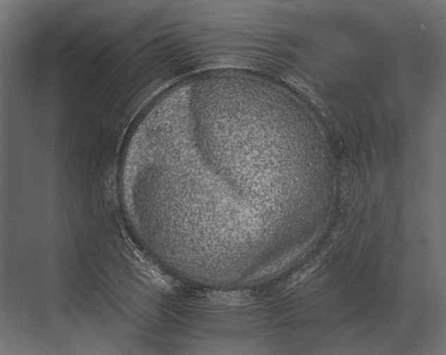 X0000073451121200608181231