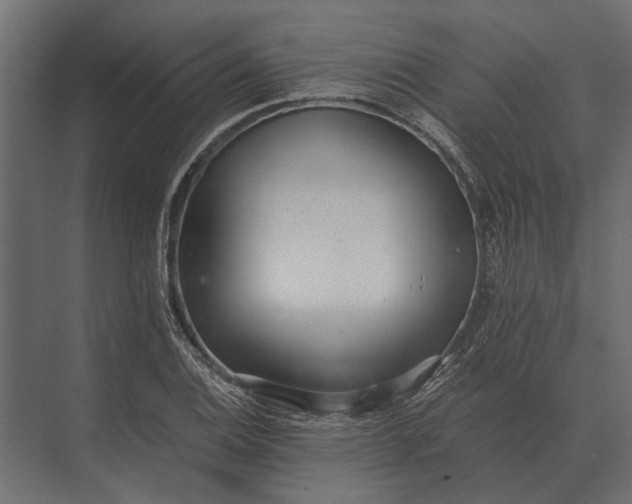 X0000073451124200608181232