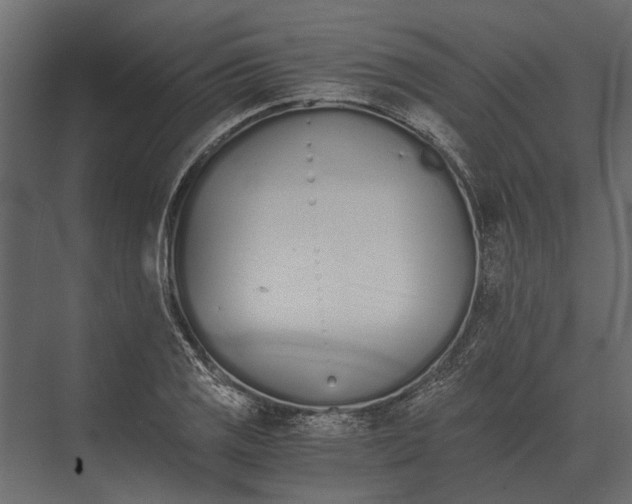 X0000073451125200608181232