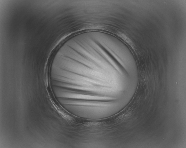 X0000073451127200608181232