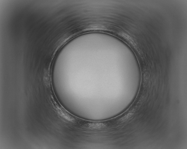 X0000073451129200608181232