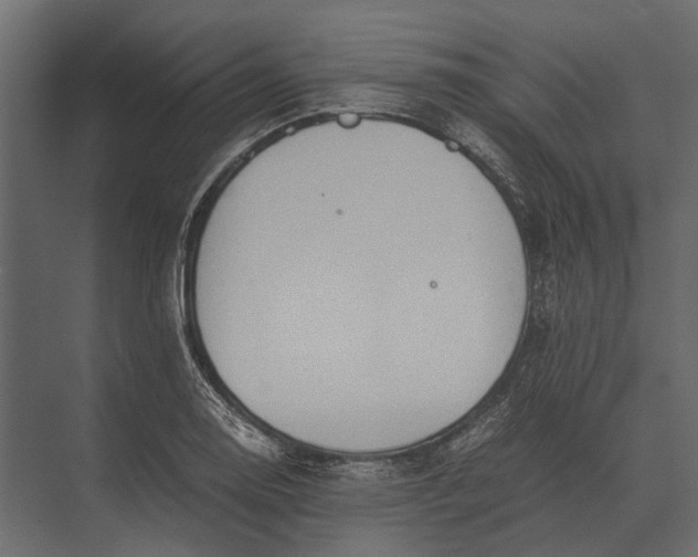 X0000073451130200608181232