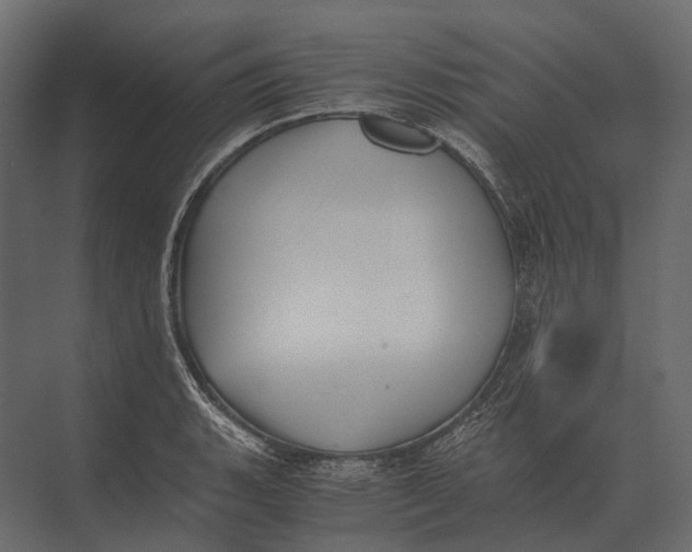 X0000073451135200608181232