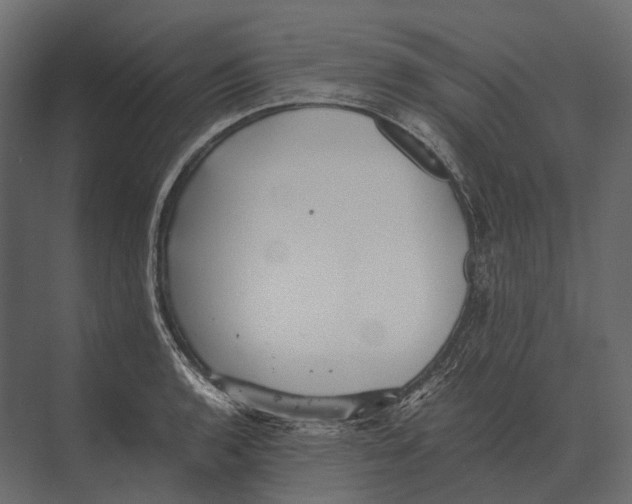 X0000073451136200608181232