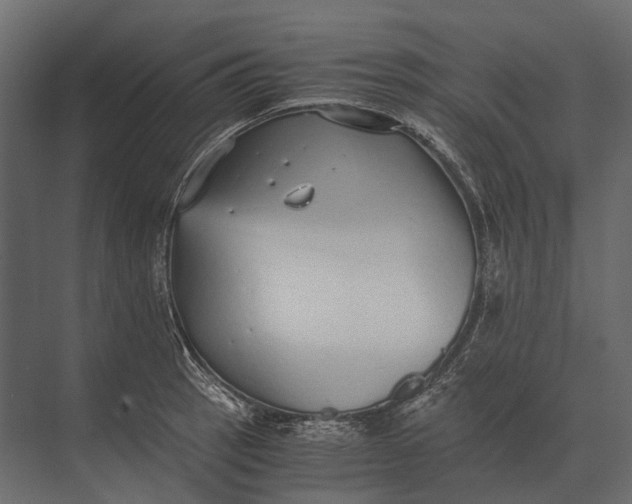 X0000073451137200608181232