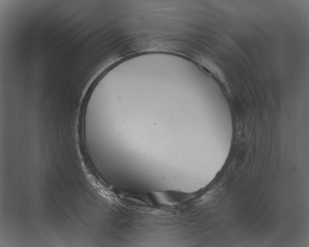 X0000073451138200608181232