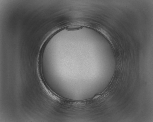 X0000073451139200608181232