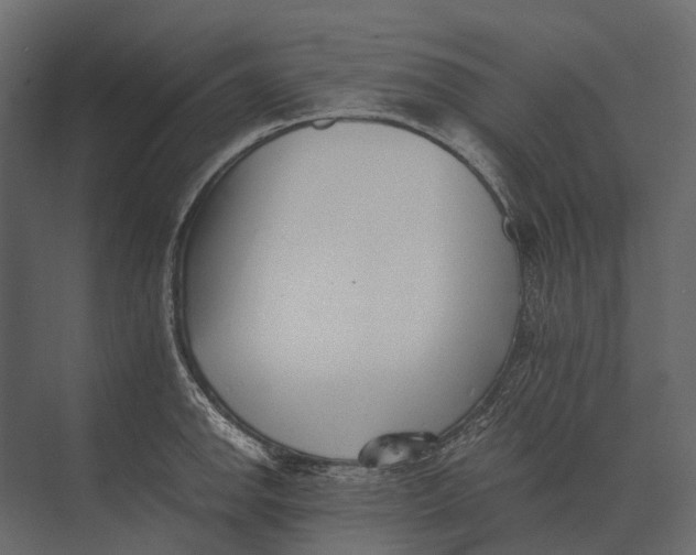 X0000073451142200608181232