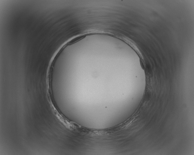 X0000073451148200608181232